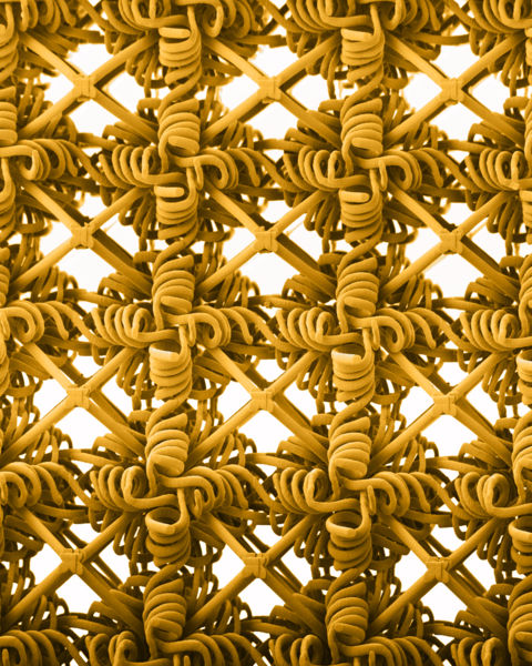 A micrograph of a woven material