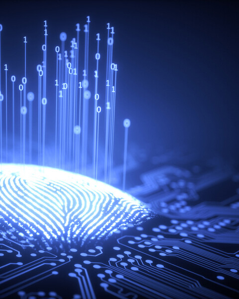 A shining fingerprint on a chip.