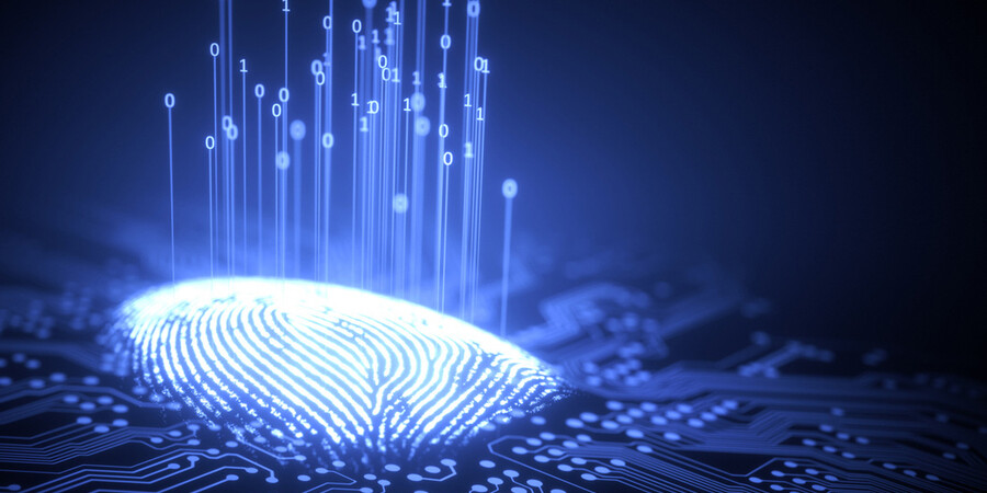 A shining fingerprint on a chip.