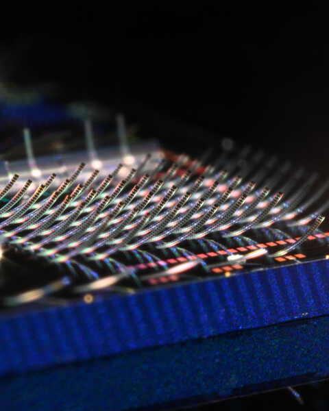 Photonic chip covered in microscopic structures that curl upward